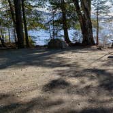 Review photo of Rowell Cove Campground — Lily Bay State Park by Jean C., June 10, 2019