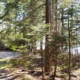 Review photo of Rowell Cove Campground — Lily Bay State Park by Jean C., June 10, 2019