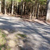 Review photo of Rowell Cove Campground — Lily Bay State Park by Jean C., June 10, 2019