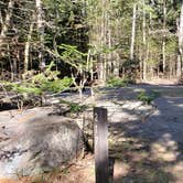 Review photo of Rowell Cove Campground — Lily Bay State Park by Jean C., June 10, 2019