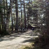 Review photo of Rowell Cove Campground — Lily Bay State Park by Jean C., June 10, 2019