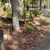 Review photo of Rowell Cove Campground — Lily Bay State Park by Jean C., June 10, 2019