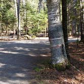 Review photo of Rowell Cove Campground — Lily Bay State Park by Jean C., June 10, 2019