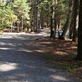 Review photo of Rowell Cove Campground — Lily Bay State Park by Jean C., June 10, 2019