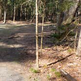 Review photo of Rowell Cove Campground — Lily Bay State Park by Jean C., June 10, 2019