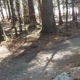 Review photo of Rowell Cove Campground — Lily Bay State Park by Jean C., June 10, 2019