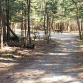 Review photo of Rowell Cove Campground — Lily Bay State Park by Jean C., June 10, 2019