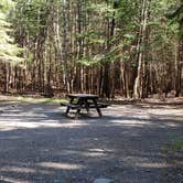 Review photo of Rowell Cove Campground — Lily Bay State Park by Jean C., June 10, 2019