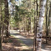 Review photo of Rowell Cove Campground — Lily Bay State Park by Jean C., June 10, 2019