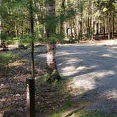 Review photo of Rowell Cove Campground — Lily Bay State Park by Jean C., June 10, 2019