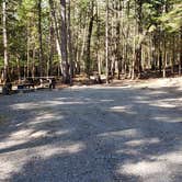 Review photo of Rowell Cove Campground — Lily Bay State Park by Jean C., June 10, 2019