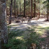 Review photo of Rowell Cove Campground — Lily Bay State Park by Jean C., June 10, 2019