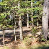 Review photo of Rowell Cove Campground — Lily Bay State Park by Jean C., June 10, 2019