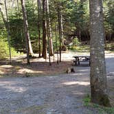 Review photo of Rowell Cove Campground — Lily Bay State Park by Jean C., June 10, 2019