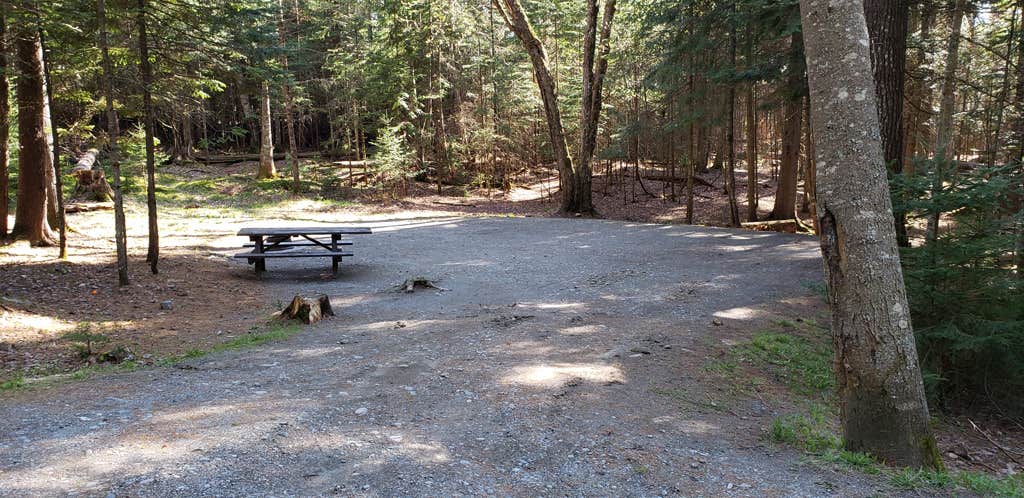 Jean C.'s photo of camping with pets at Rowell Cove Campground — Lily Bay State Park near Millinocket, ME