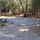 Review photo of Rowell Cove Campground — Lily Bay State Park by Jean C., June 10, 2019