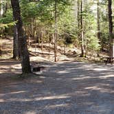 Review photo of Rowell Cove Campground — Lily Bay State Park by Jean C., June 10, 2019