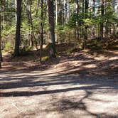 Review photo of Rowell Cove Campground — Lily Bay State Park by Jean C., June 10, 2019