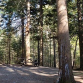 Review photo of Dunn Point Campground — Lily Bay State Park by Jean C., June 10, 2019