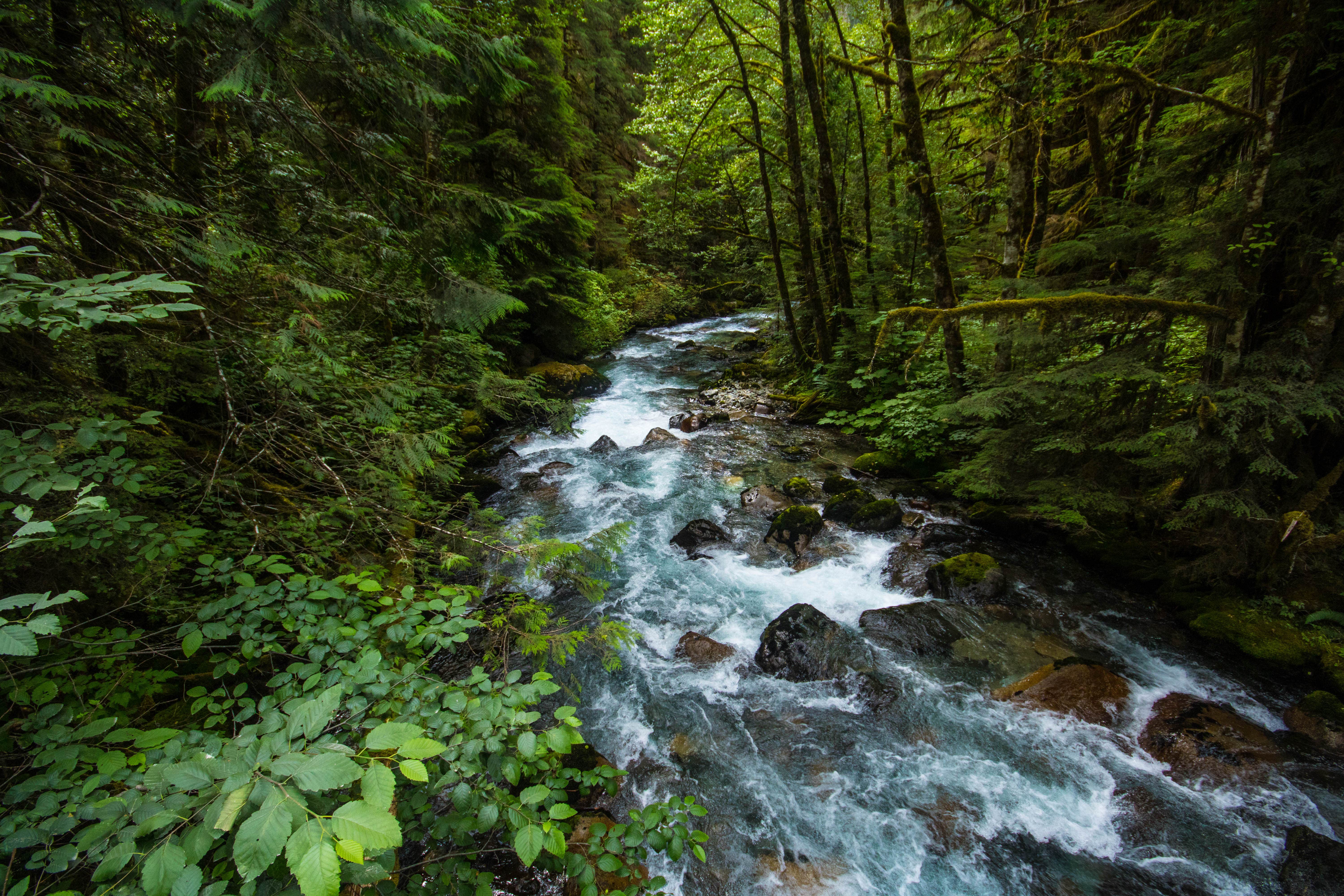 Camper-submitted photo at Mineral Park Campground near North Cascades National Park