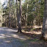 Review photo of Rowell Cove Campground — Lily Bay State Park by Jean C., June 10, 2019