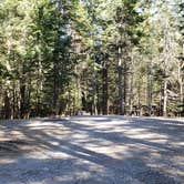 Review photo of Rowell Cove Campground — Lily Bay State Park by Jean C., June 10, 2019