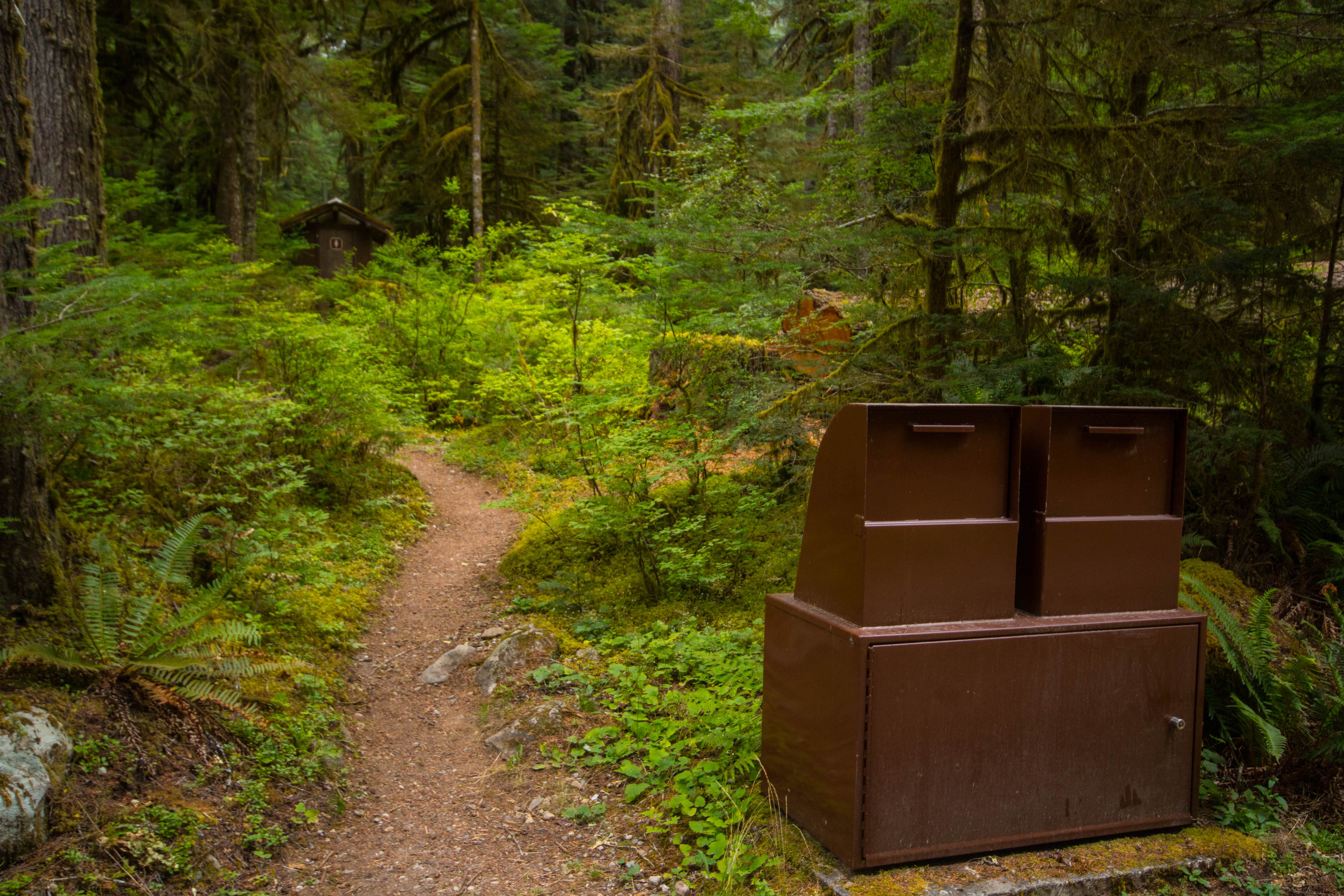Camper-submitted photo at Mineral Park Campground near North Cascades National Park