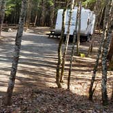 Review photo of Rowell Cove Campground — Lily Bay State Park by Jean C., June 10, 2019