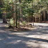 Review photo of Rowell Cove Campground — Lily Bay State Park by Jean C., June 10, 2019