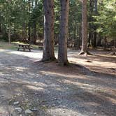 Review photo of Rowell Cove Campground — Lily Bay State Park by Jean C., June 10, 2019