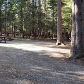 Review photo of Rowell Cove Campground — Lily Bay State Park by Jean C., June 10, 2019