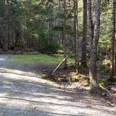 Review photo of Rowell Cove Campground — Lily Bay State Park by Jean C., June 10, 2019