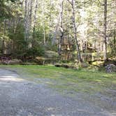 Review photo of Rowell Cove Campground — Lily Bay State Park by Jean C., June 10, 2019