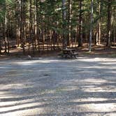 Review photo of Rowell Cove Campground — Lily Bay State Park by Jean C., June 10, 2019