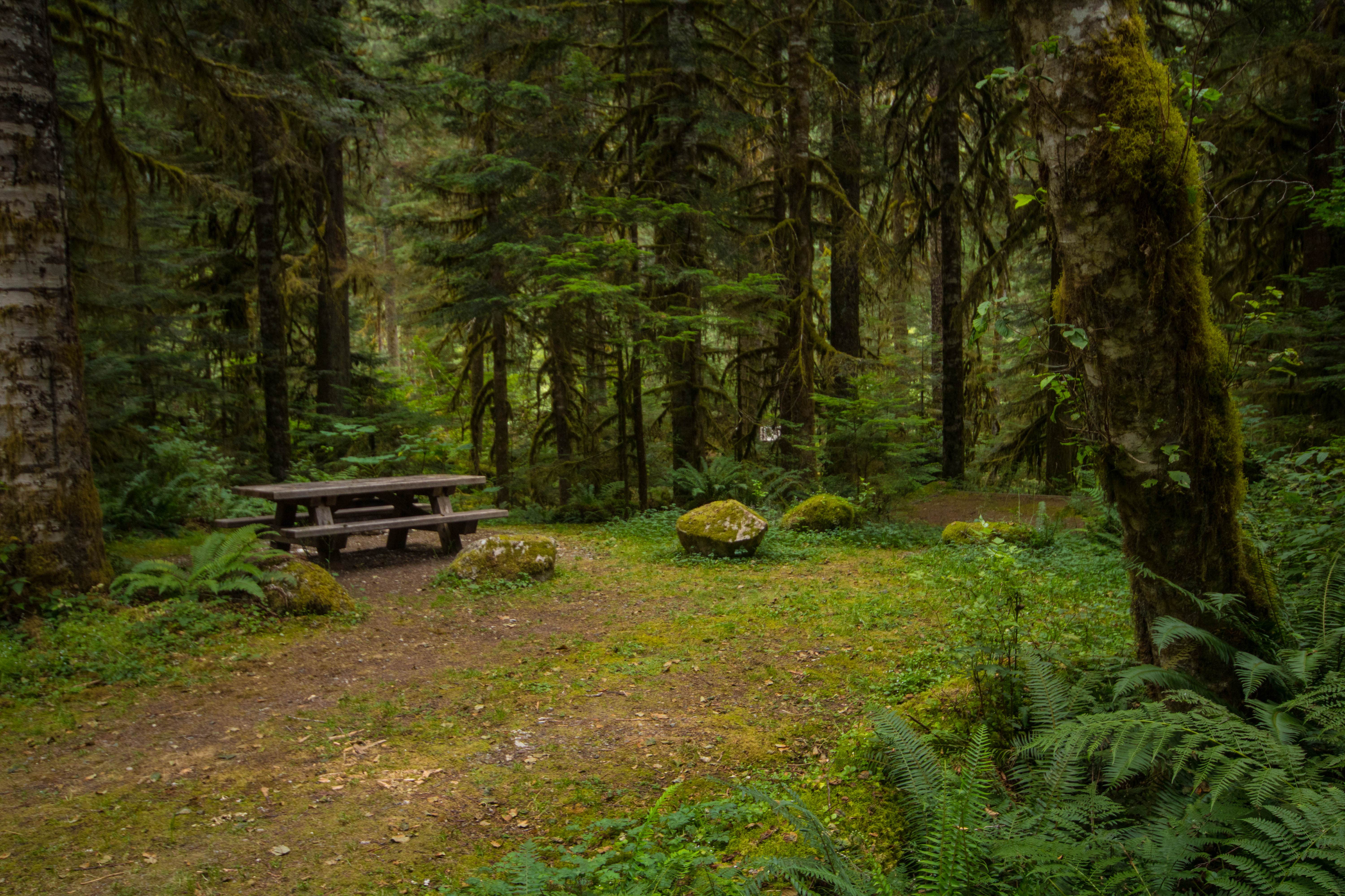 Camper submitted image from Mineral Park Campground - 2