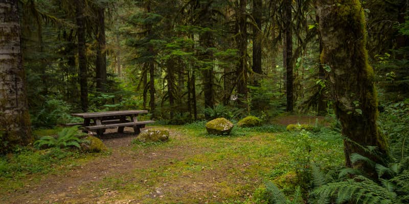 Camper submitted image from Mineral Park Campground