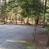 Review photo of Rowell Cove Campground — Lily Bay State Park by Jean C., June 10, 2019