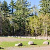 Review photo of Rowell Cove Campground — Lily Bay State Park by Jean C., June 10, 2019