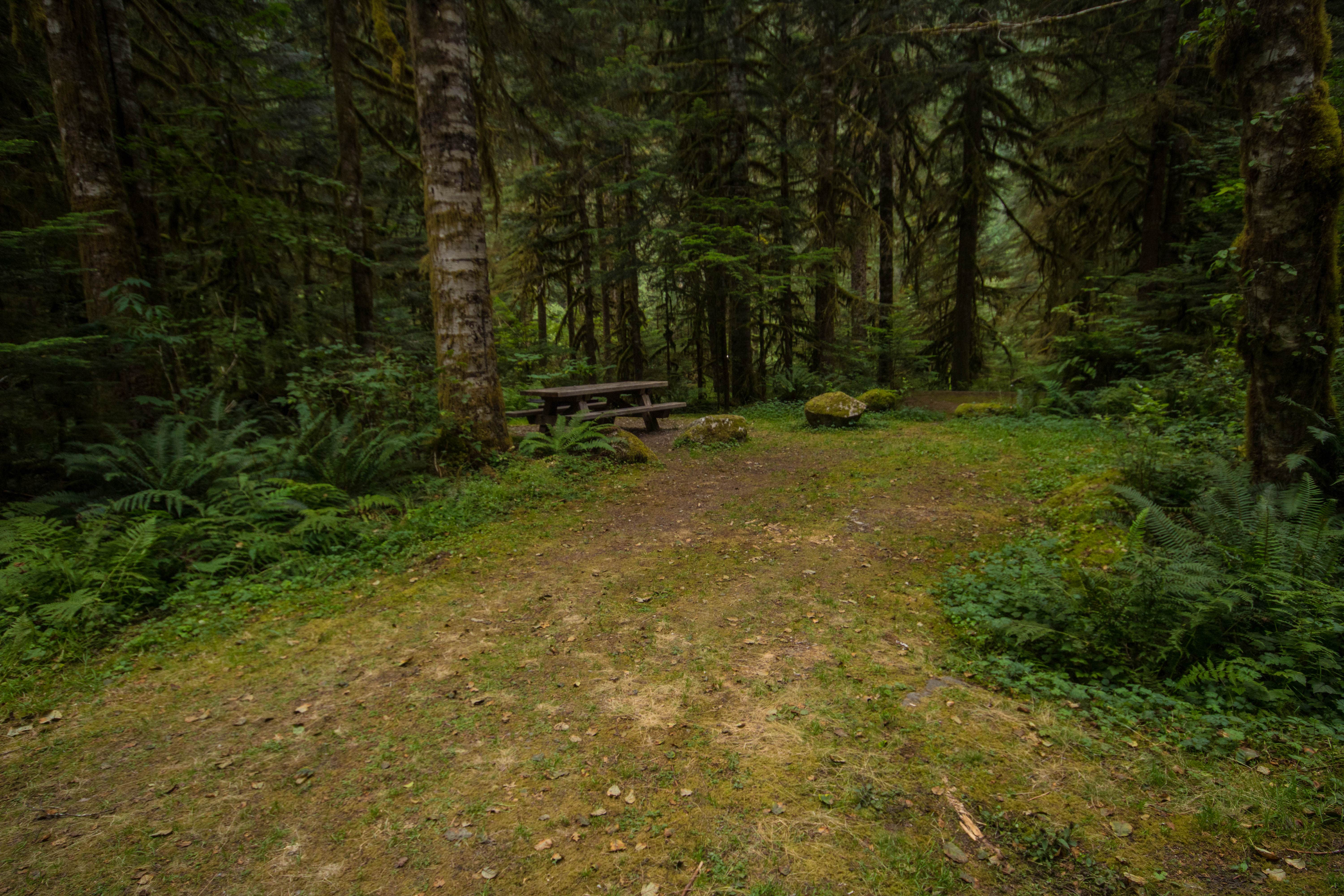 Camper submitted image from Mineral Park Campground - 2