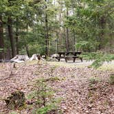 Review photo of Rowell Cove Campground — Lily Bay State Park by Jean C., June 10, 2019