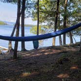 Review photo of Rowell Cove Campground — Lily Bay State Park by Jean C., June 10, 2019