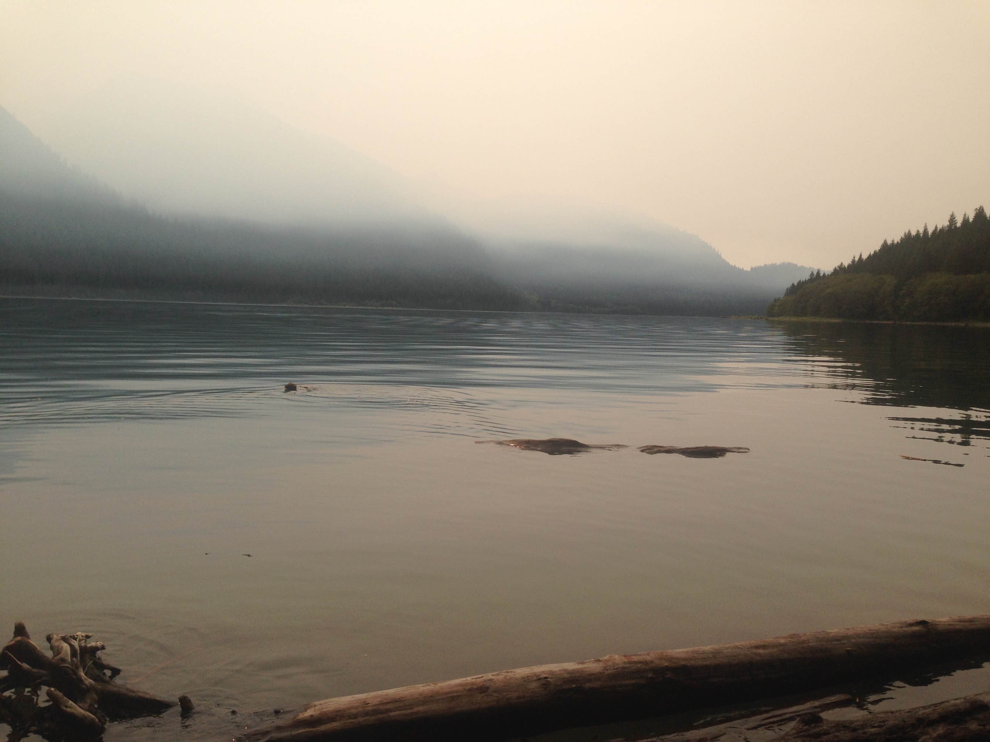 Camper submitted image from Panorama Point Campground - 3