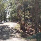 Review photo of Rowell Cove Campground — Lily Bay State Park by Jean C., June 10, 2019