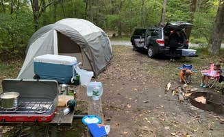 Paul N.'s photo of camping with pets at Swartswood State Park Campground - TEMPORARILY CLOSED near New York City, NY