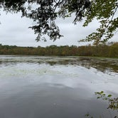 Review photo of Swartswood State Park Campground by Paul N., June 10, 2019