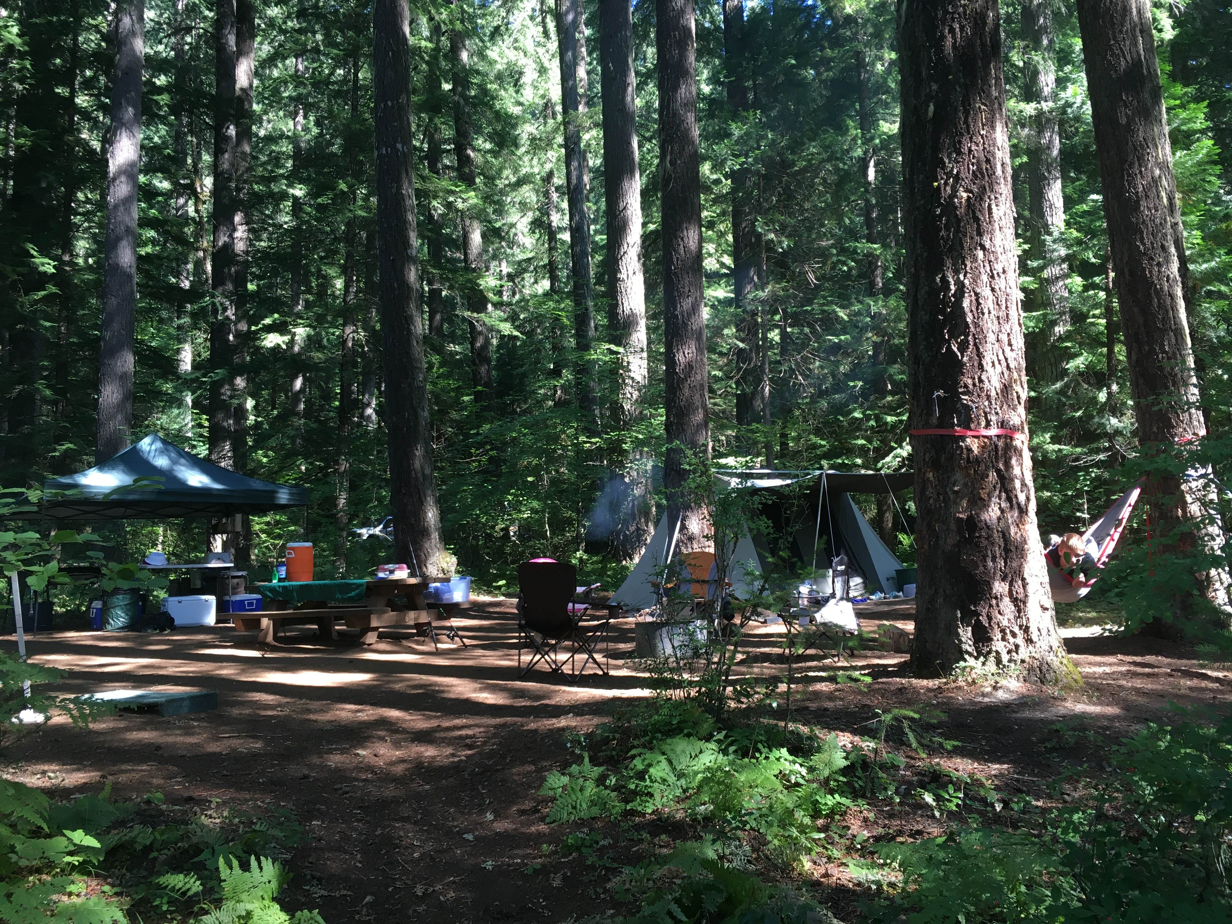 Brad C.'s photo at Trail Bridge Campground near Willamette National Forest