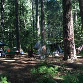 Review photo of Trail Bridge Campground by Brad C., June 10, 2019