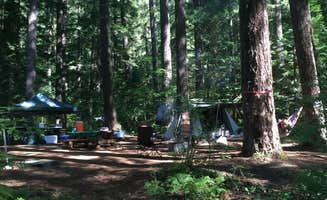 Brad C.'s photo at Trail Bridge Campground near Willamette National Forest