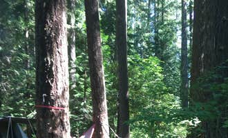 Camping near Olallie Campground: Trail Bridge Campground, Willamette National Forest, Oregon