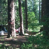 Review photo of Trail Bridge Campground by Brad C., June 10, 2019